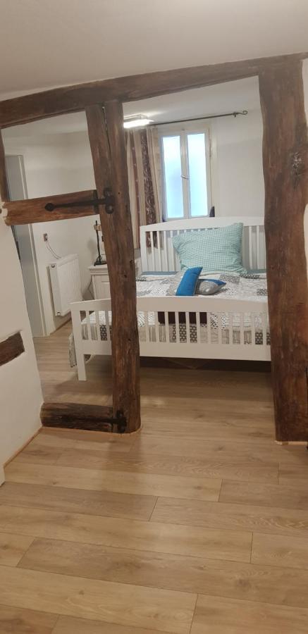 Zauberhafte Wohnung In Der Naehe Von Heidelberg, Top Lage Hirschhorn Zewnętrze zdjęcie