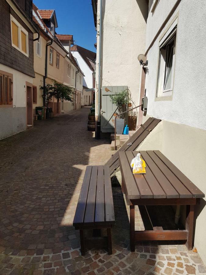 Zauberhafte Wohnung In Der Naehe Von Heidelberg, Top Lage Hirschhorn Zewnętrze zdjęcie