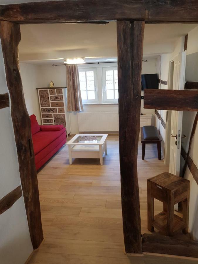 Zauberhafte Wohnung In Der Naehe Von Heidelberg, Top Lage Hirschhorn Zewnętrze zdjęcie
