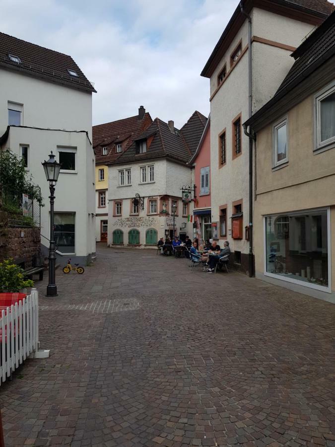 Zauberhafte Wohnung In Der Naehe Von Heidelberg, Top Lage Hirschhorn Zewnętrze zdjęcie