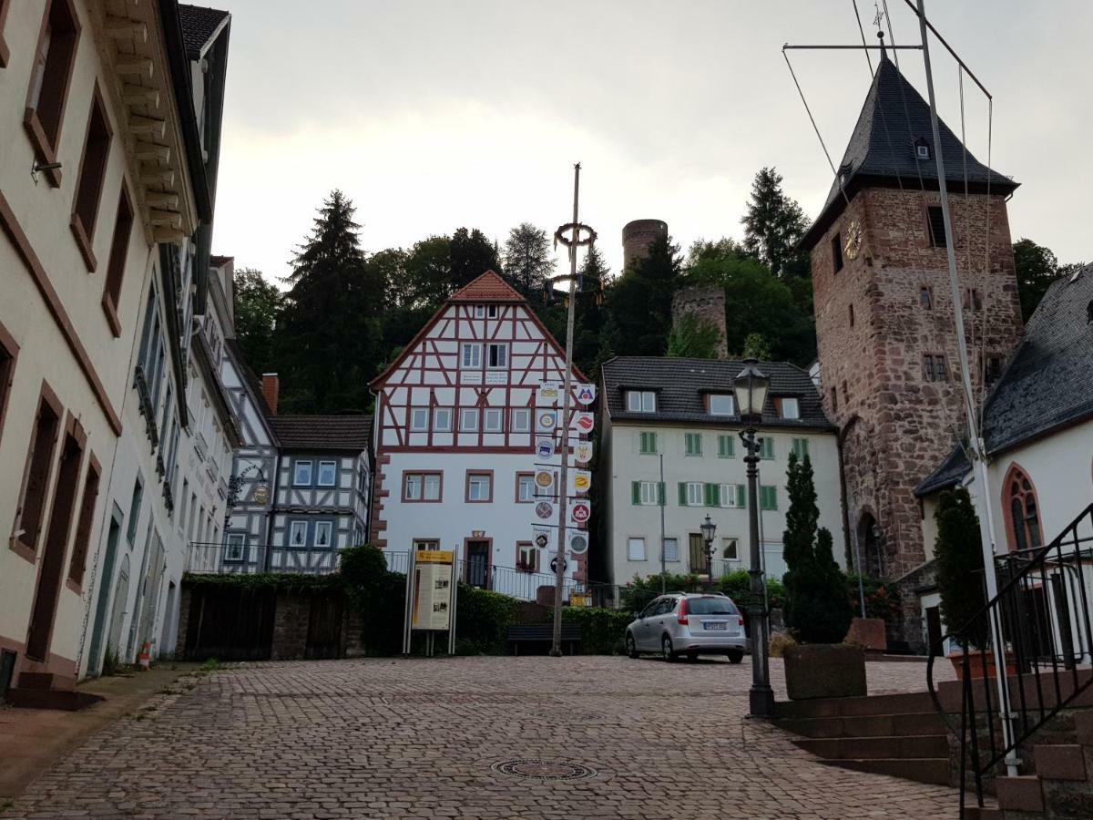 Zauberhafte Wohnung In Der Naehe Von Heidelberg, Top Lage Hirschhorn Zewnętrze zdjęcie
