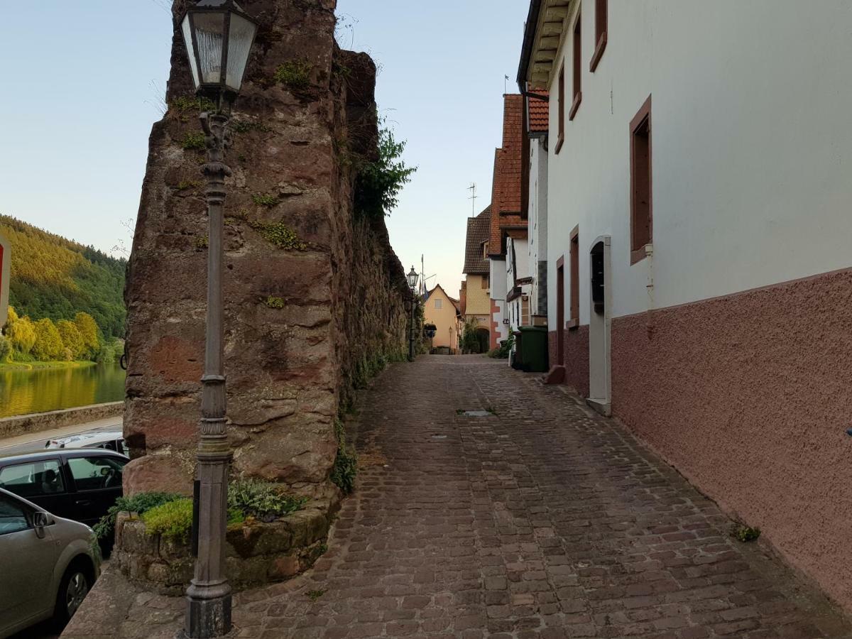 Zauberhafte Wohnung In Der Naehe Von Heidelberg, Top Lage Hirschhorn Zewnętrze zdjęcie