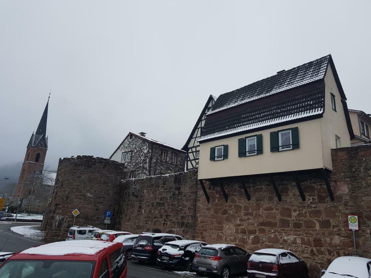 Zauberhafte Wohnung In Der Naehe Von Heidelberg, Top Lage Hirschhorn Zewnętrze zdjęcie