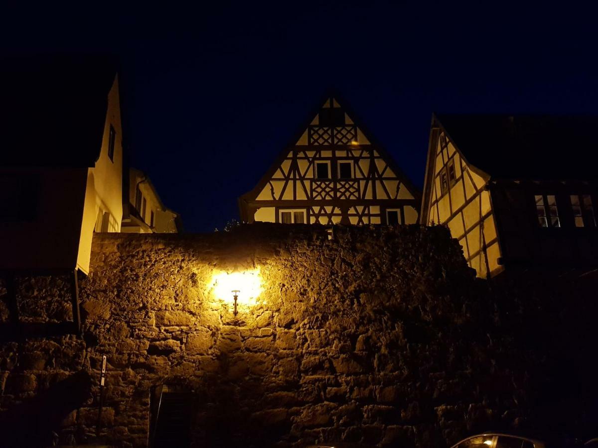 Zauberhafte Wohnung In Der Naehe Von Heidelberg, Top Lage Hirschhorn Zewnętrze zdjęcie
