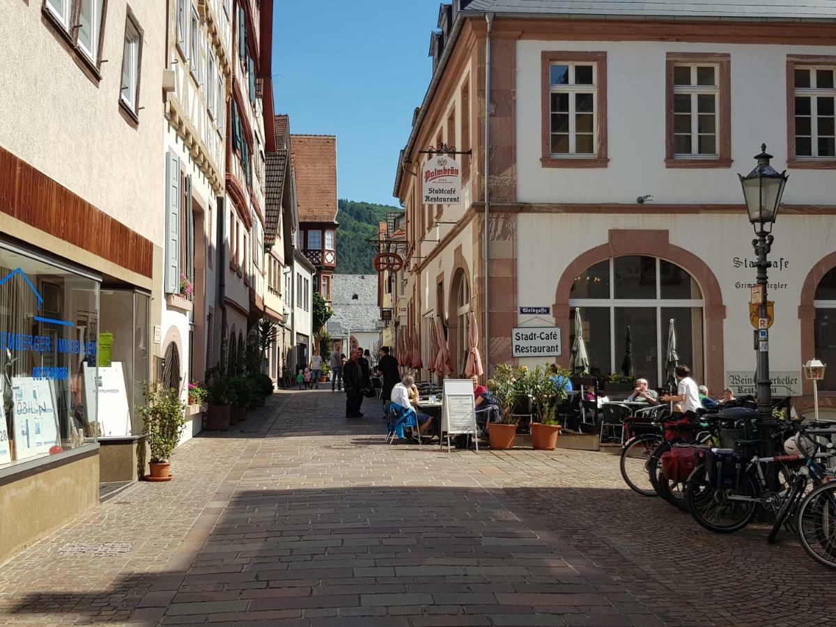 Zauberhafte Wohnung In Der Naehe Von Heidelberg, Top Lage Hirschhorn Zewnętrze zdjęcie