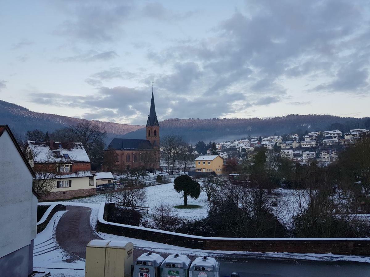 Zauberhafte Wohnung In Der Naehe Von Heidelberg, Top Lage Hirschhorn Zewnętrze zdjęcie