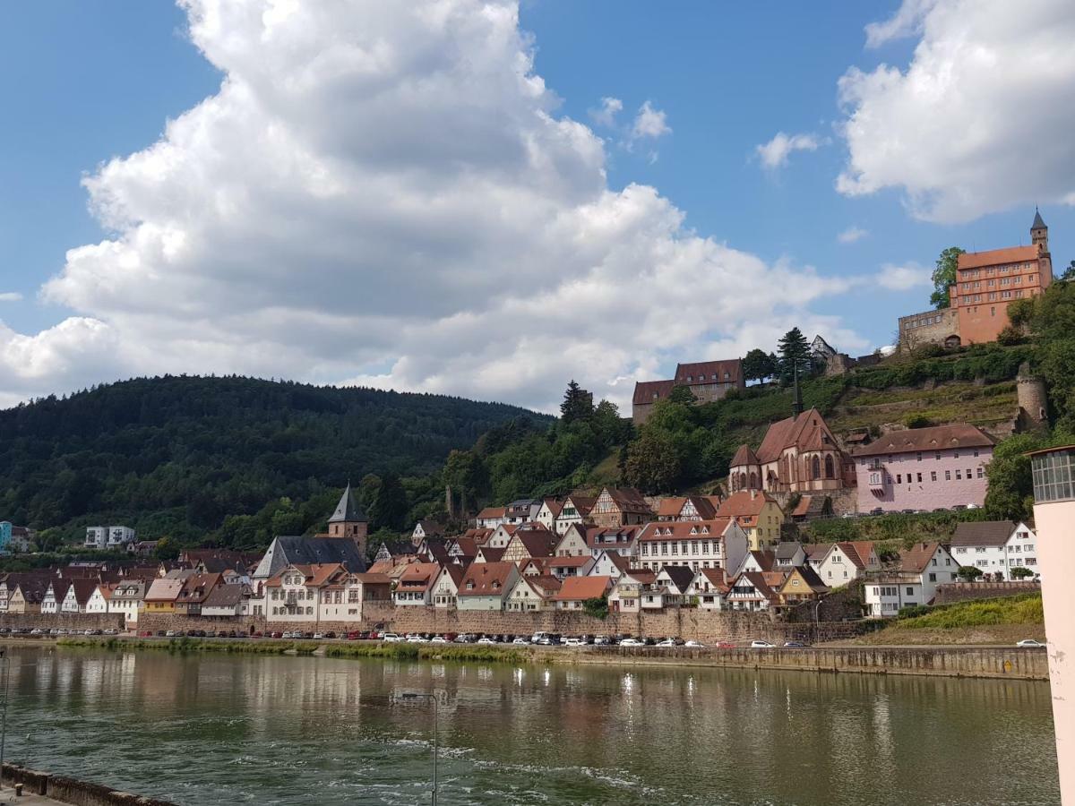 Zauberhafte Wohnung In Der Naehe Von Heidelberg, Top Lage Hirschhorn Zewnętrze zdjęcie