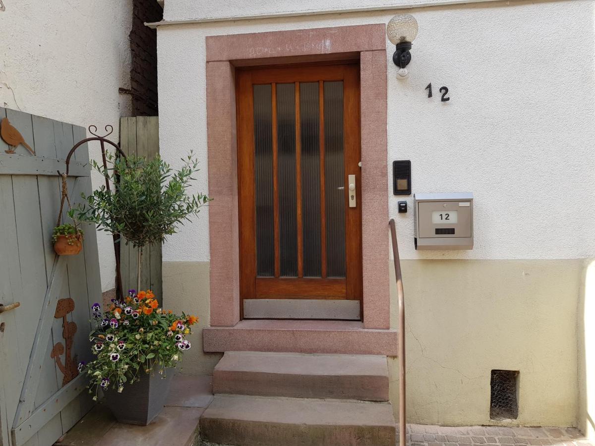 Zauberhafte Wohnung In Der Naehe Von Heidelberg, Top Lage Hirschhorn Zewnętrze zdjęcie